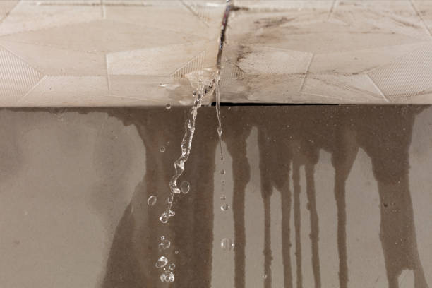 Professional Water Damage Repair technician working in Brooklyn, NY